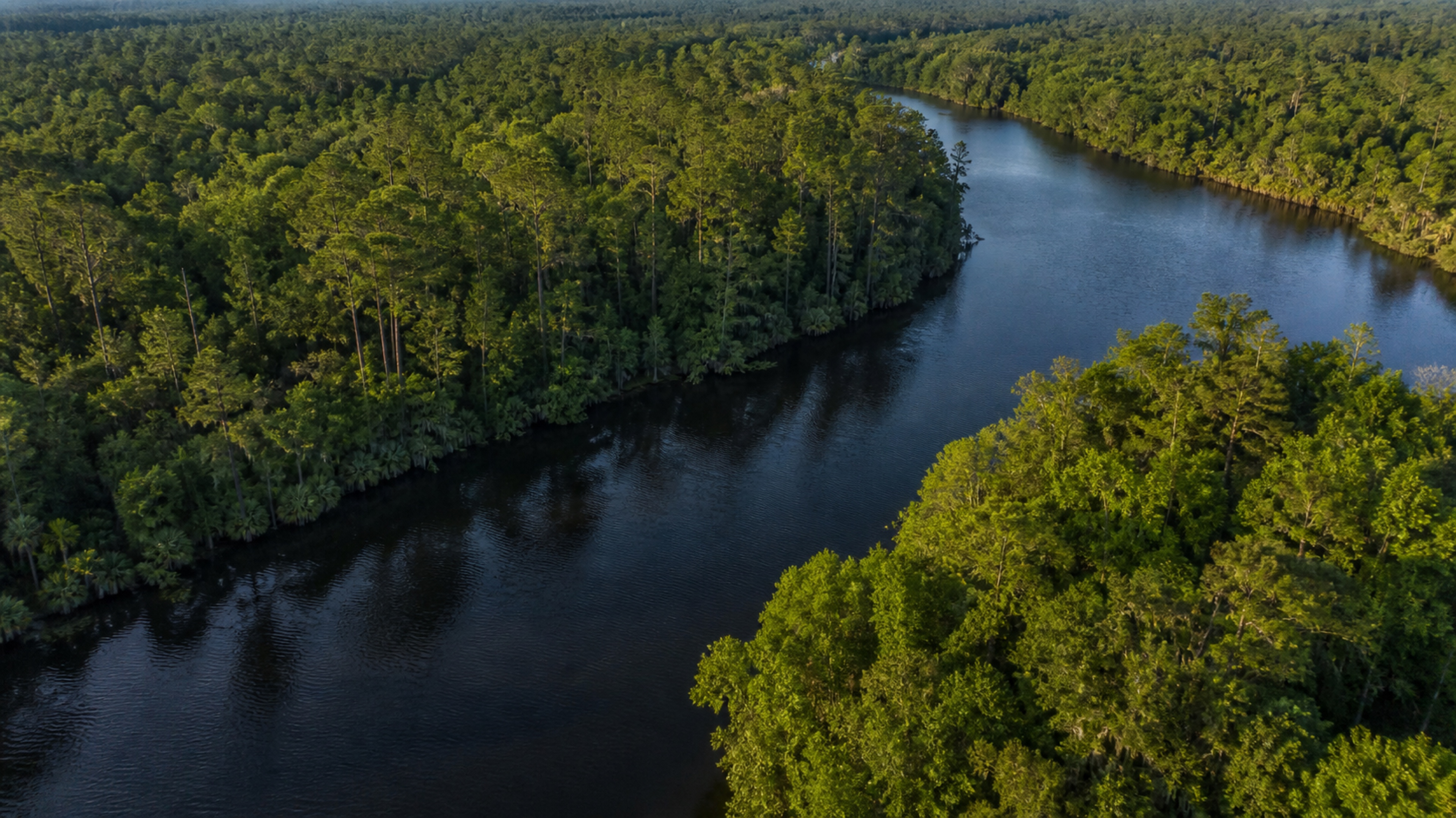 Aerial view of the Choctawhatchee River winding through Northwest Florida forest